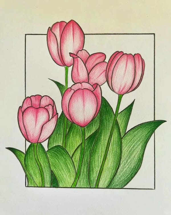 tranh vẽ hoa tulip 22