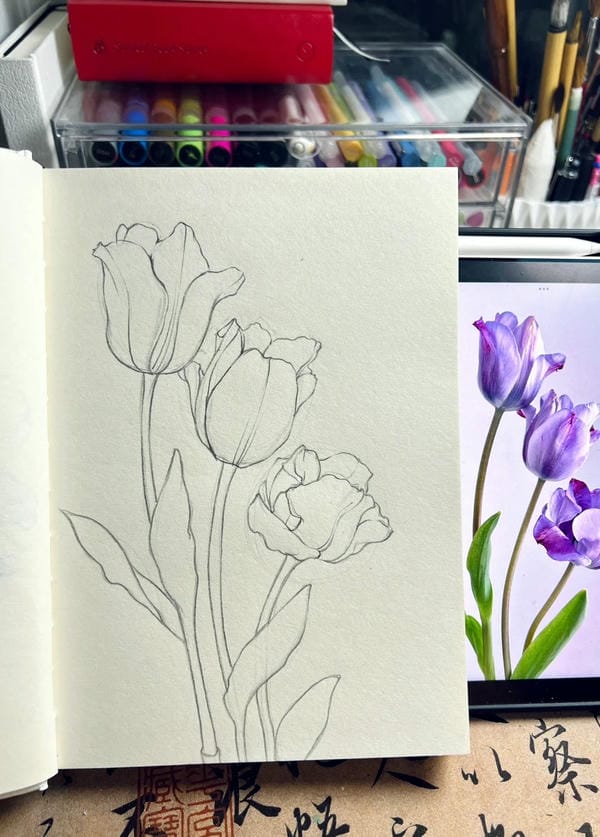 tranh vẽ hoa tulip 23