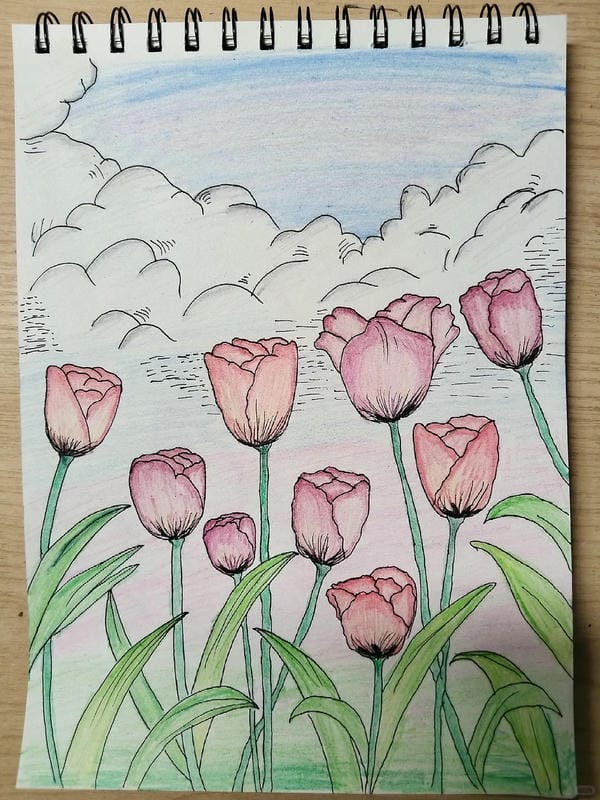 tranh vẽ hoa tulip 28