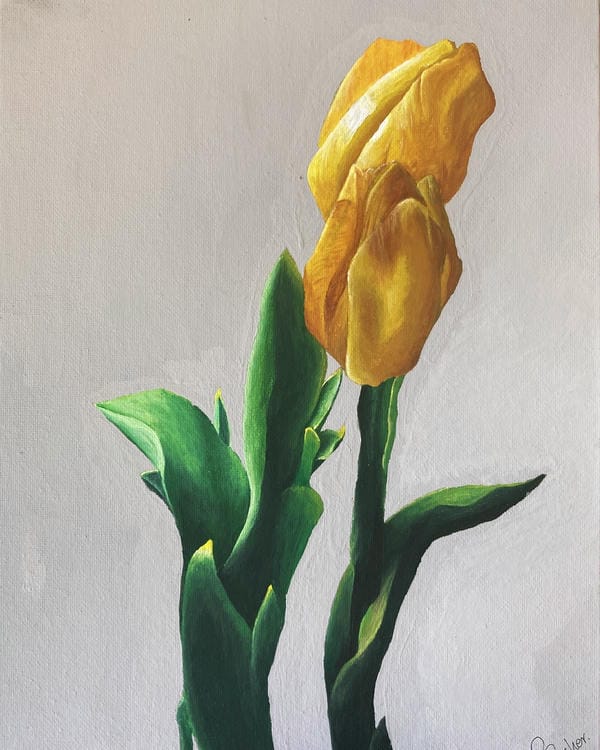 tranh vẽ hoa tulip 3