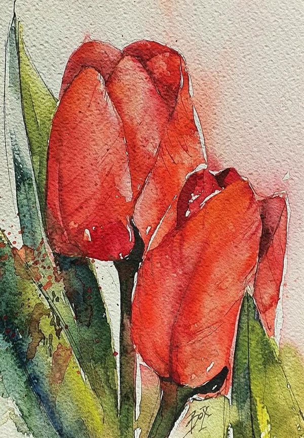 tranh vẽ hoa tulip 5