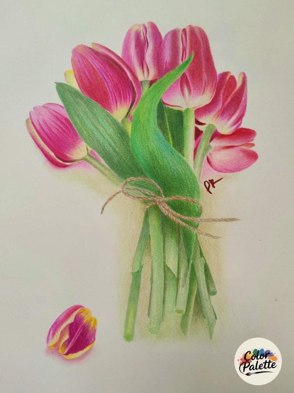 tranh vẽ hoa tulip 8