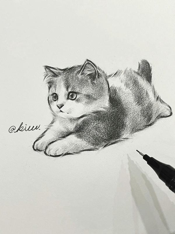 tranh vẽ mèo dễ thương 21
