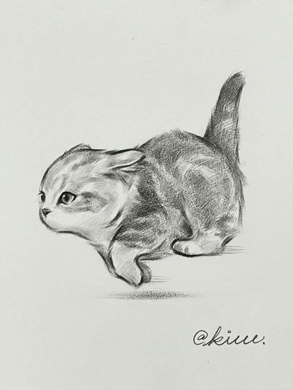 tranh vẽ mèo dễ thương 22