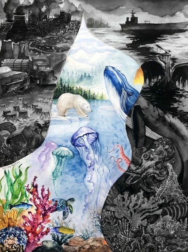 vẽ tranh bảo vệ động vật 15