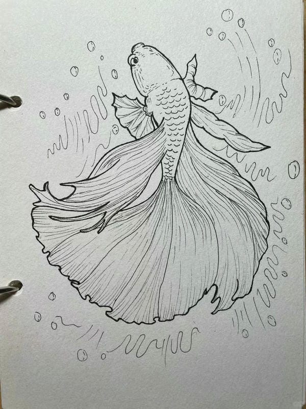vẽ tranh con cá