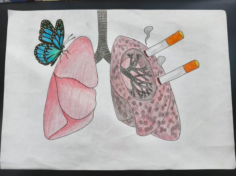 vẽ tranh phòng chống thuốc lá 20