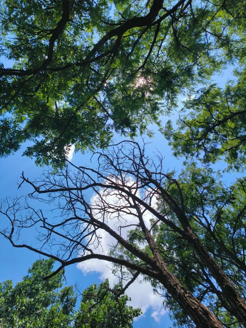 ảnh bầu trời chill 11