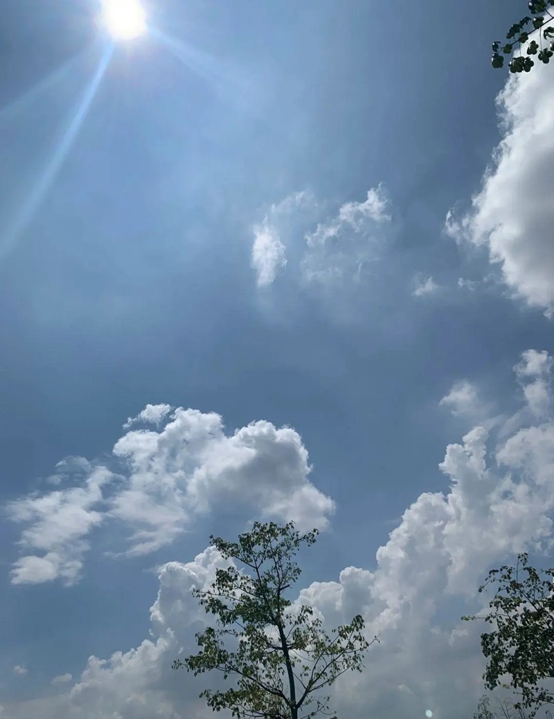 ảnh bầu trời chill 13