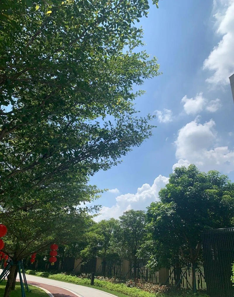 ảnh bầu trời chill 14