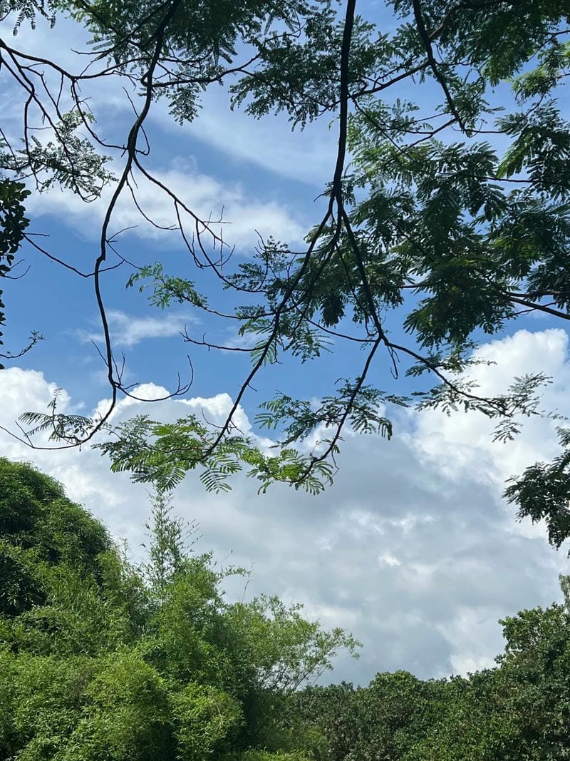 ảnh bầu trời chill 14