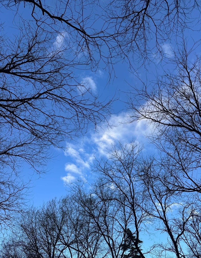 ảnh bầu trời chill 4