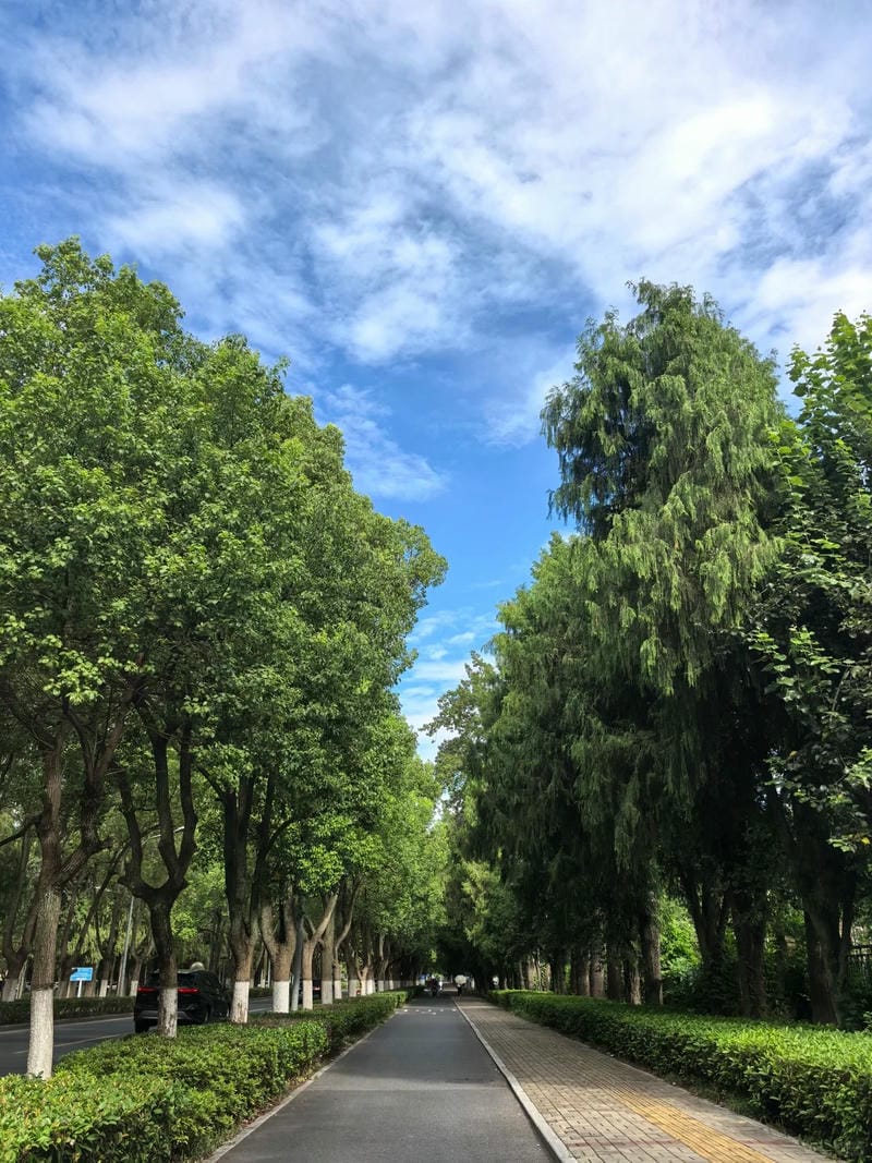 ảnh bầu trời chill 4