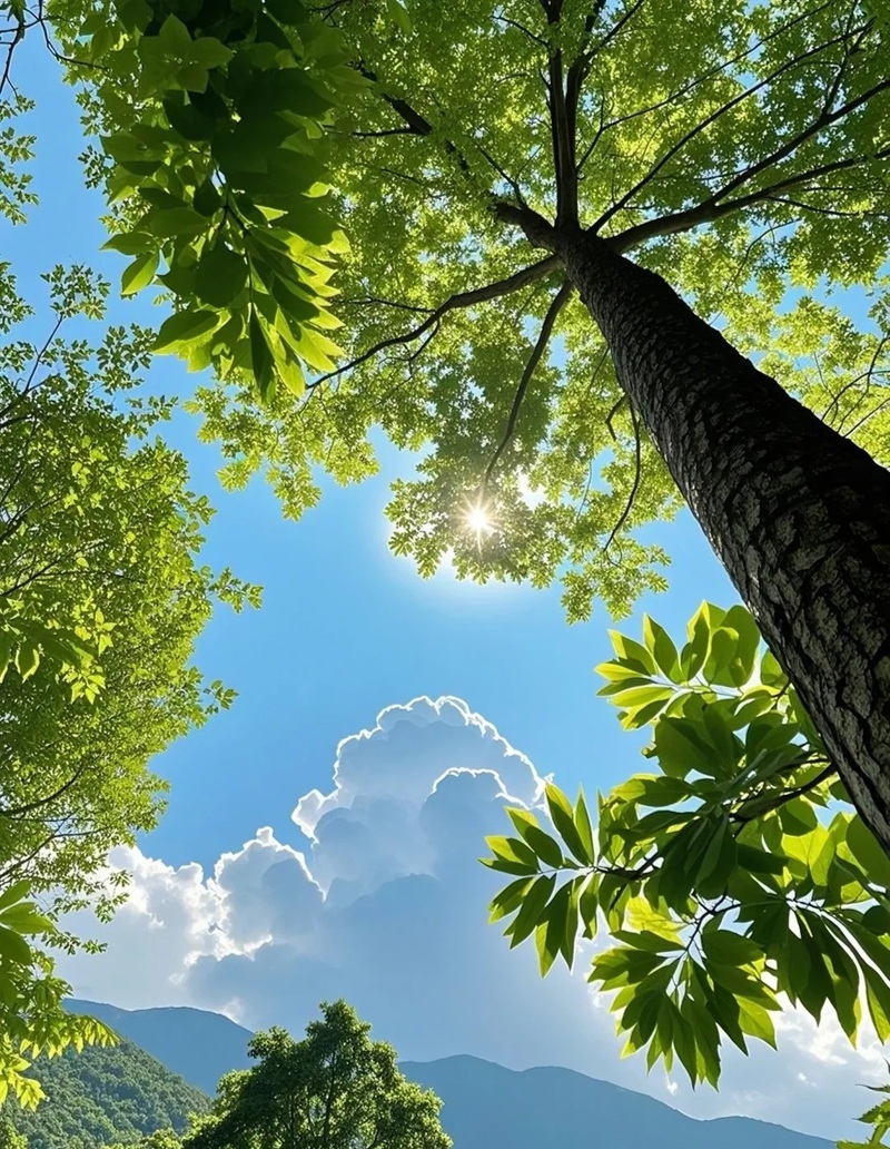 ảnh bầu trời chill 41