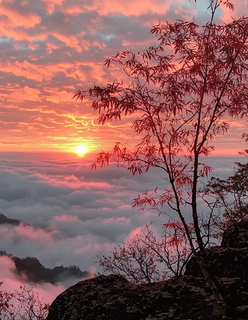 ảnh bầu trời chill 5