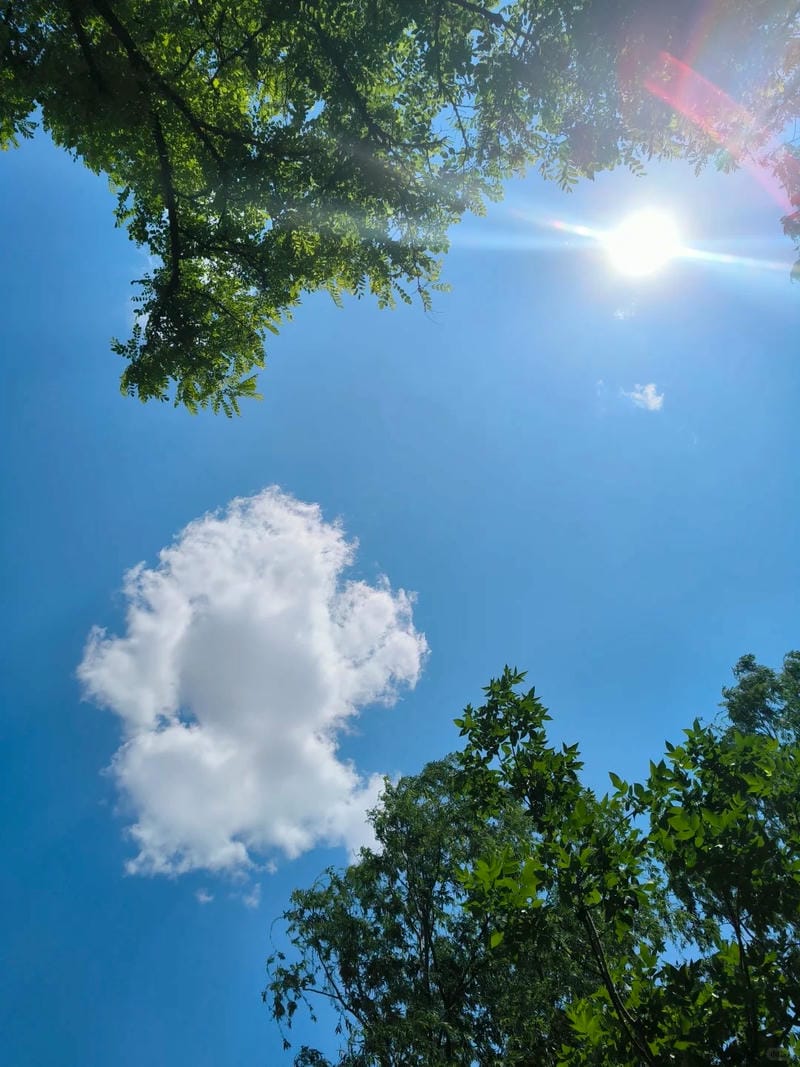 ảnh bầu trời chill 9