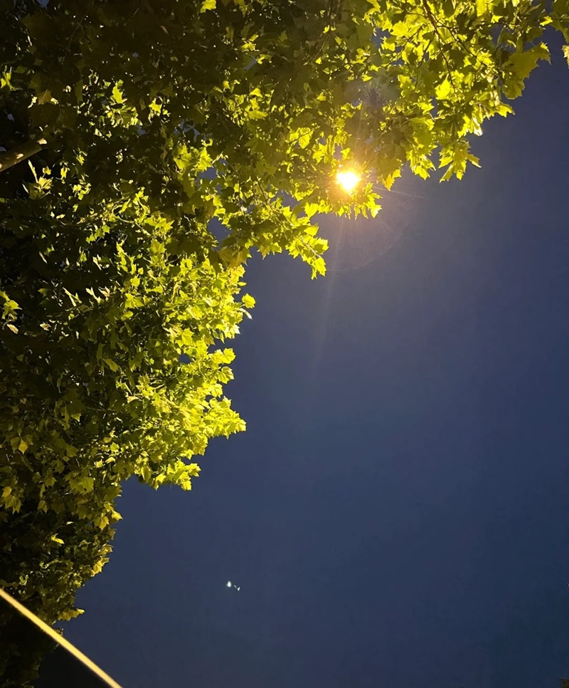 ảnh bầu trời đêm 29