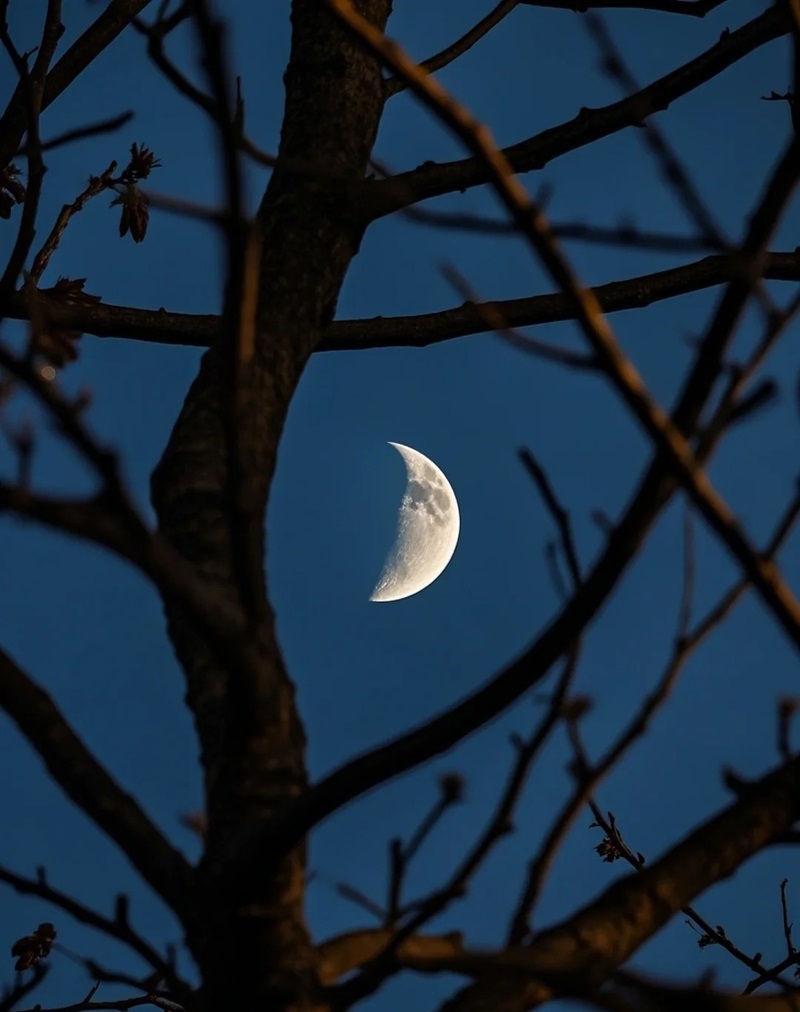 ảnh bầu trời đêm 34