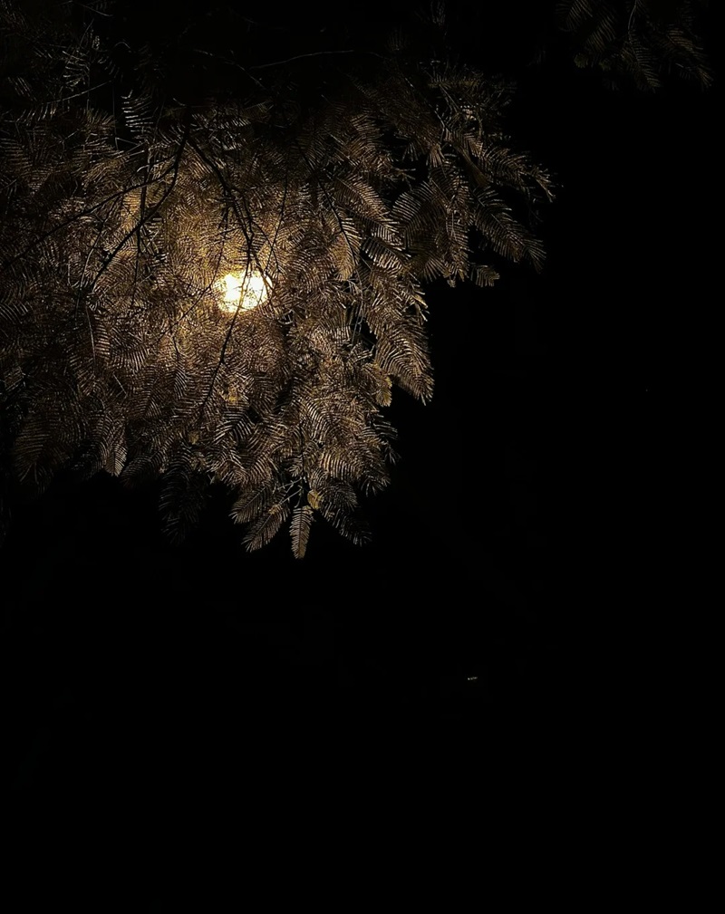 ảnh bầu trời đêm 6