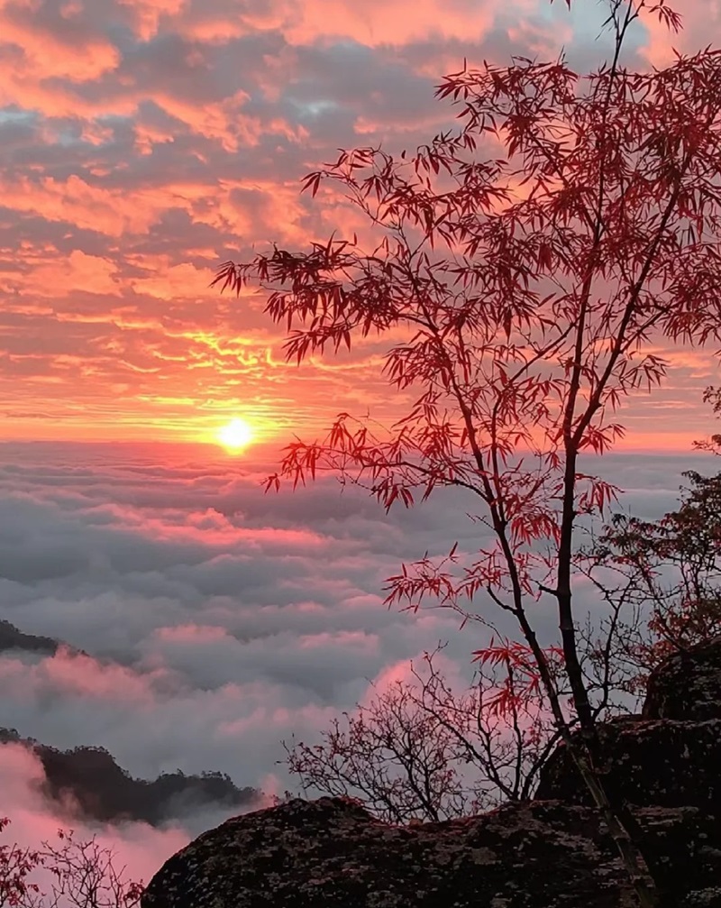 ảnh bầu trời đẹp 3