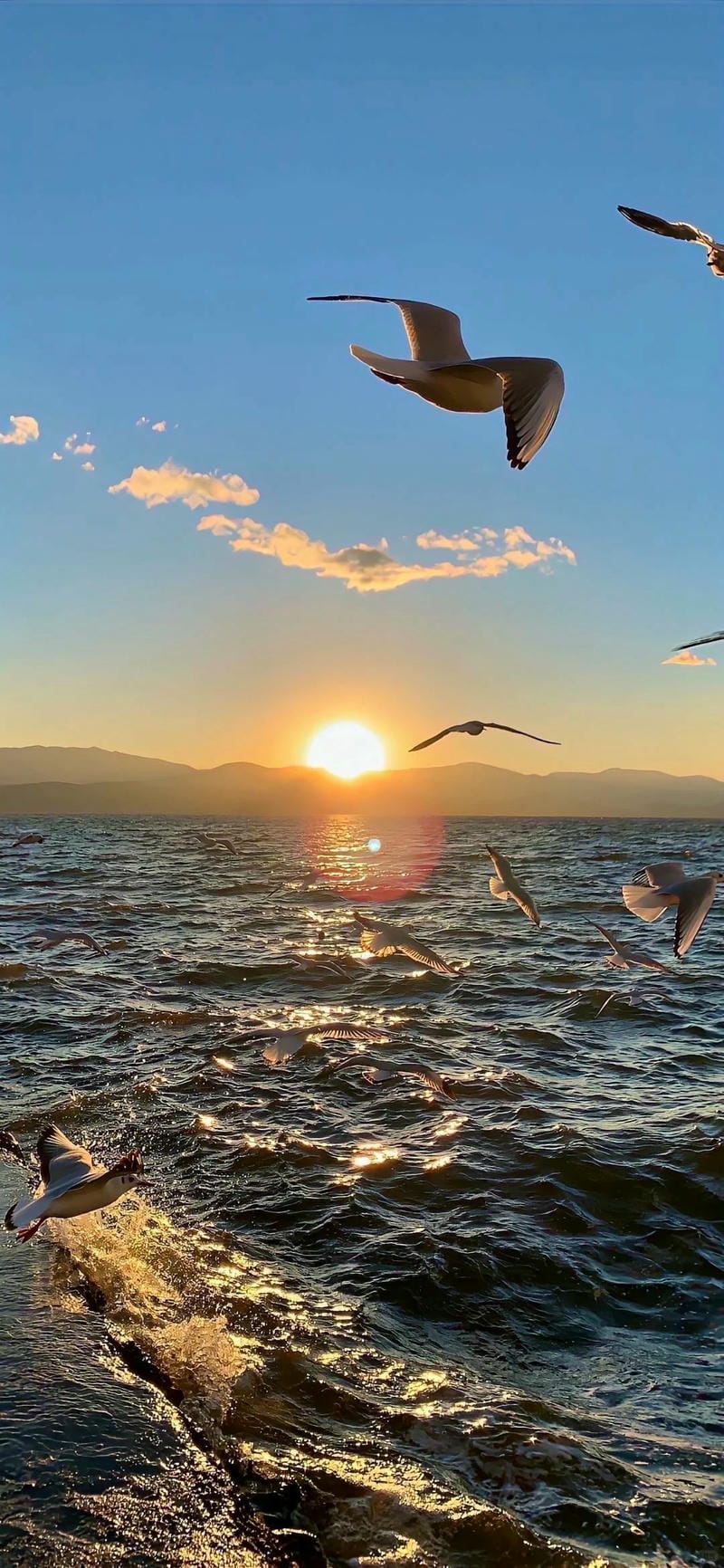 ảnh biển chill 10