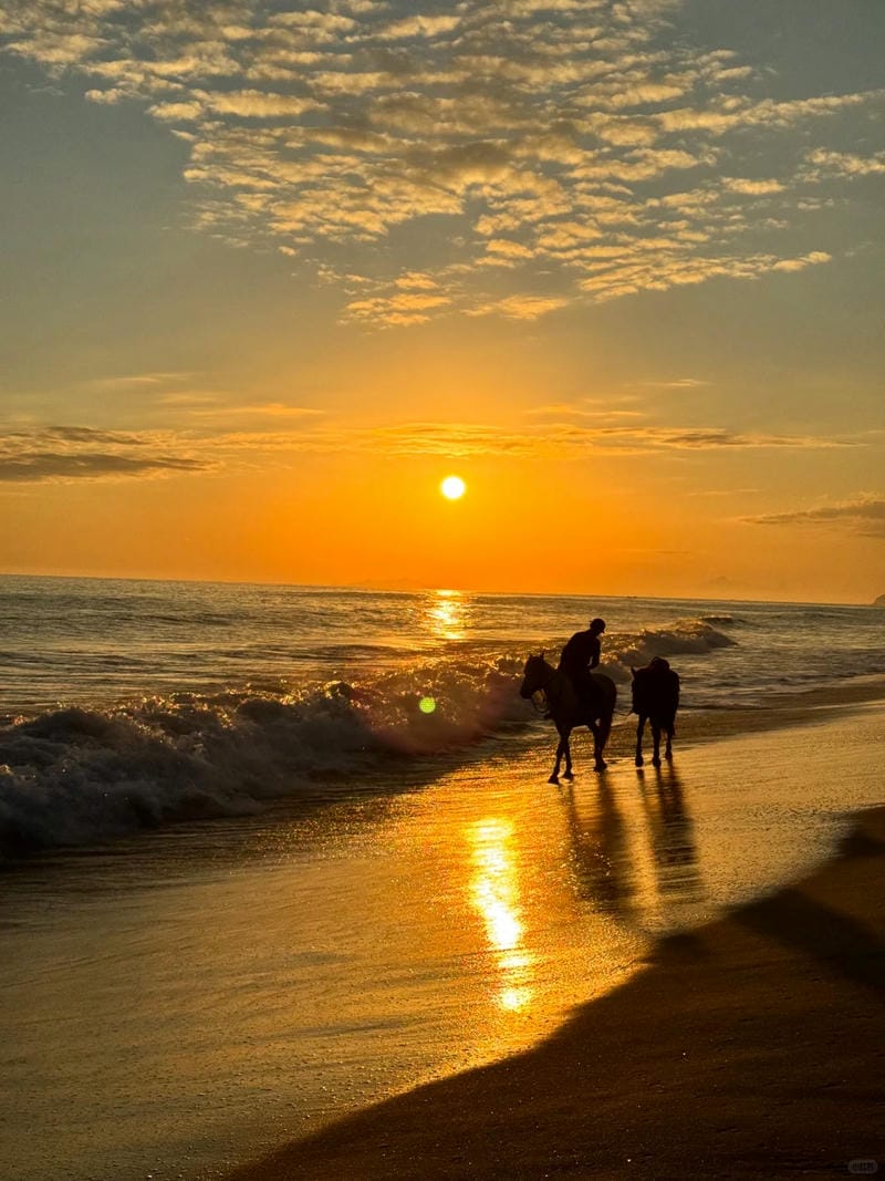 ảnh biển chill 16