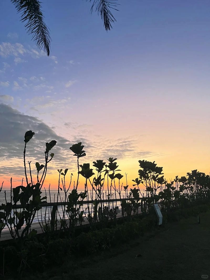 ảnh biển chill 19