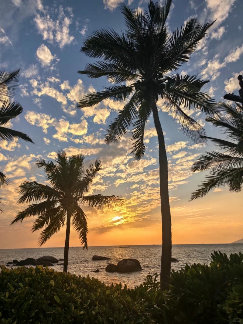 ảnh biển chill 20