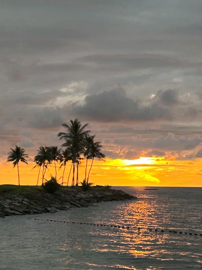 ảnh biển chill 29