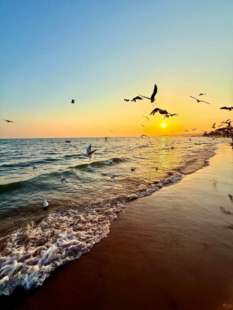 ảnh biển chill 9