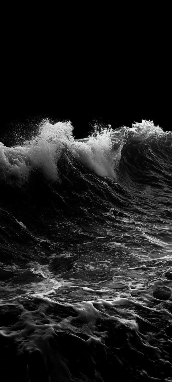 ảnh biển đen trắng 13