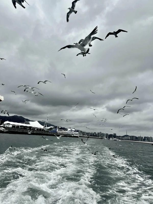 ảnh biển đen trắng 15