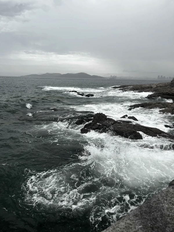 ảnh biển đen trắng 16