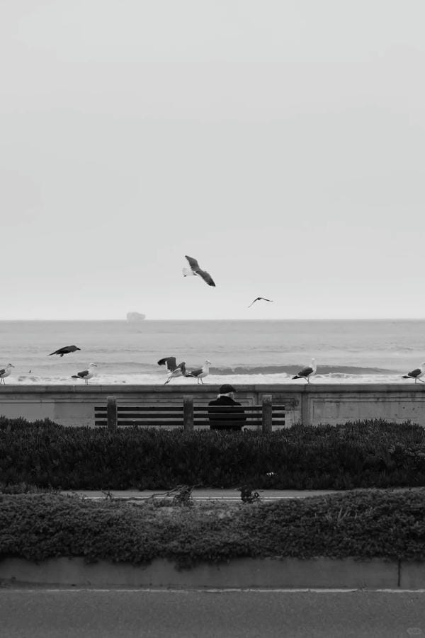 ảnh biển đen trắng 3