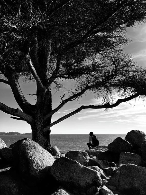 ảnh biển đen trắng 4