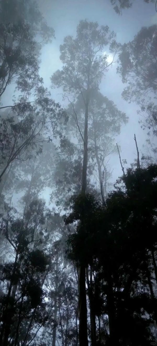 ảnh chill buồn 10