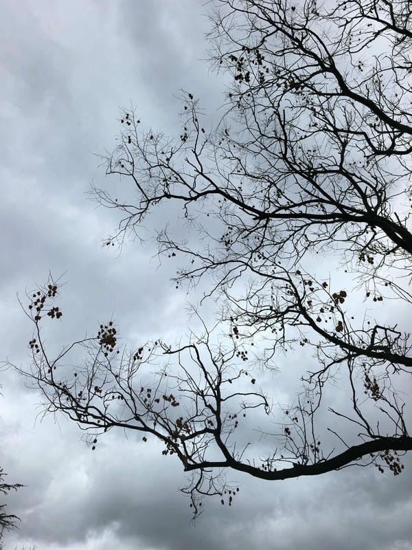 ảnh chill buồn 11