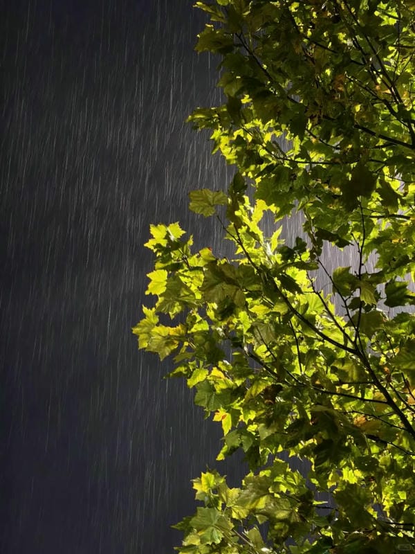 ảnh chill buồn 7