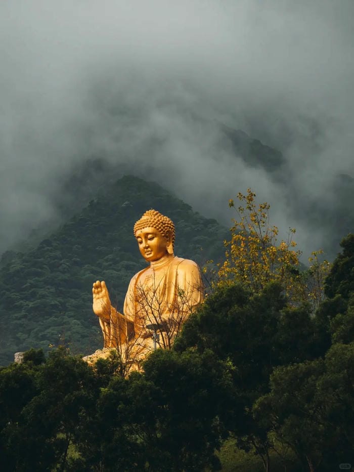 ảnh phật a di đà 4