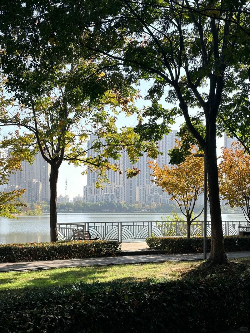 ảnh phong cảnh chill 10