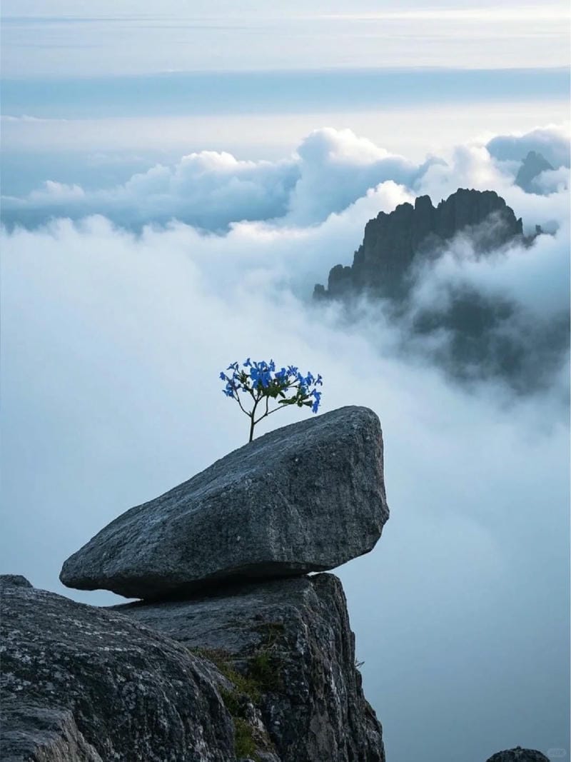 ảnh phong cảnh chill 11