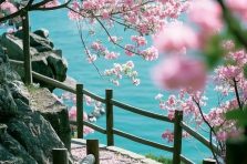 Tuyển chọn 299+ ảnh phong cảnh chill đẹp mê ly khó cưỡng