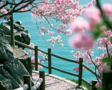 Tuyển chọn 299+ ảnh phong cảnh chill đẹp mê ly khó cưỡng