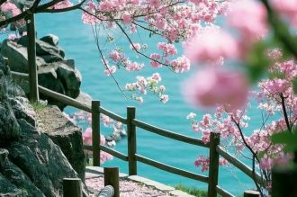 Tuyển chọn 299+ ảnh phong cảnh chill đẹp mê ly khó cưỡng