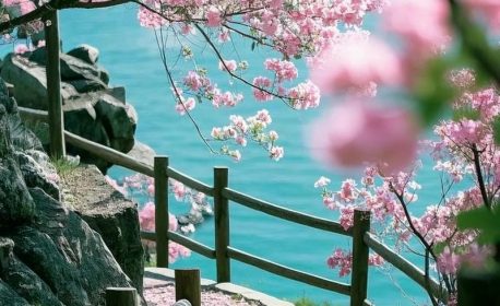 Tuyển chọn 299+ ảnh phong cảnh chill đẹp mê ly khó cưỡng