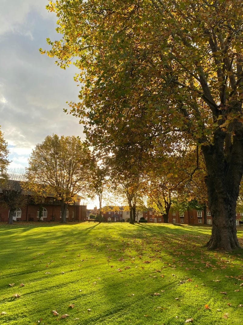 ảnh phong cảnh chill 19