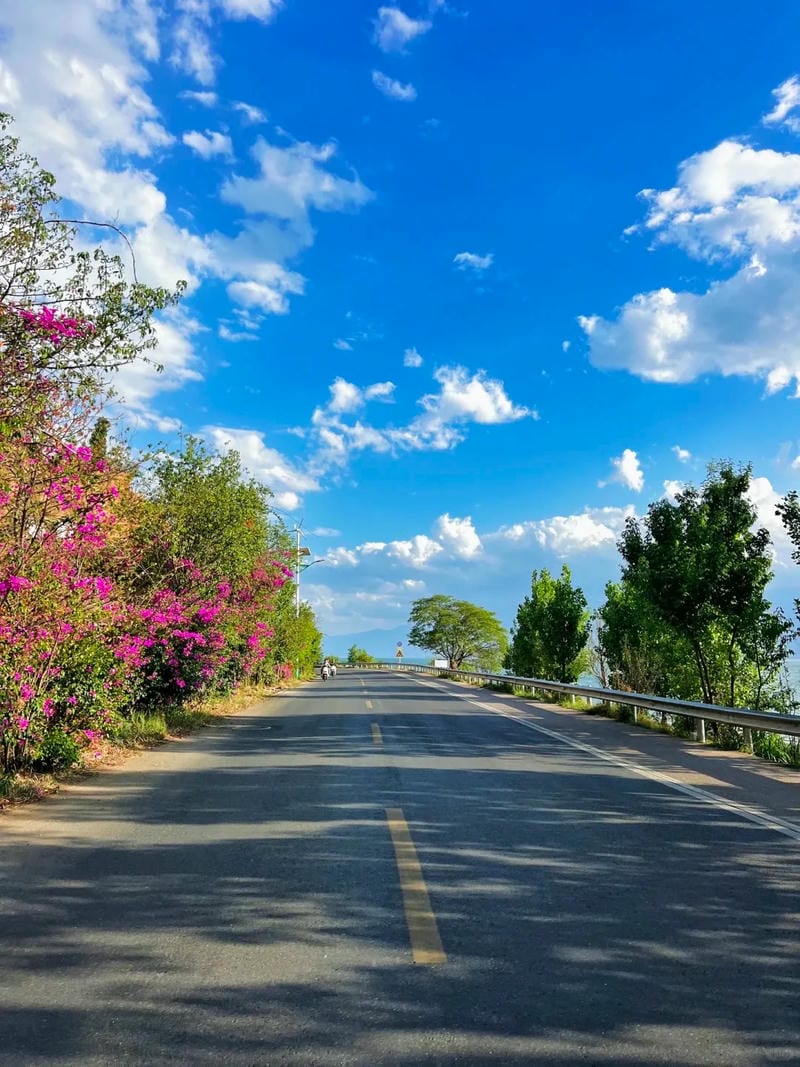 ảnh phong cảnh chill 20