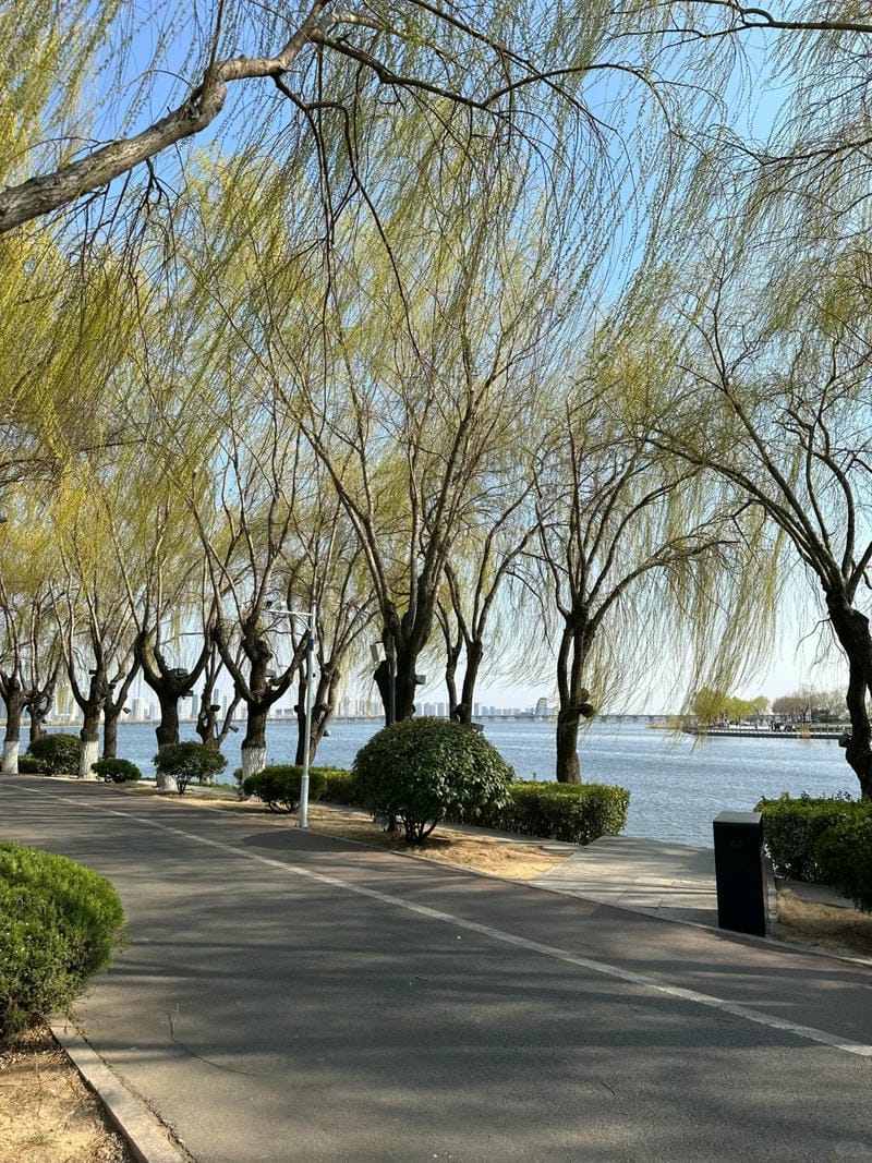 ảnh phong cảnh chill 22