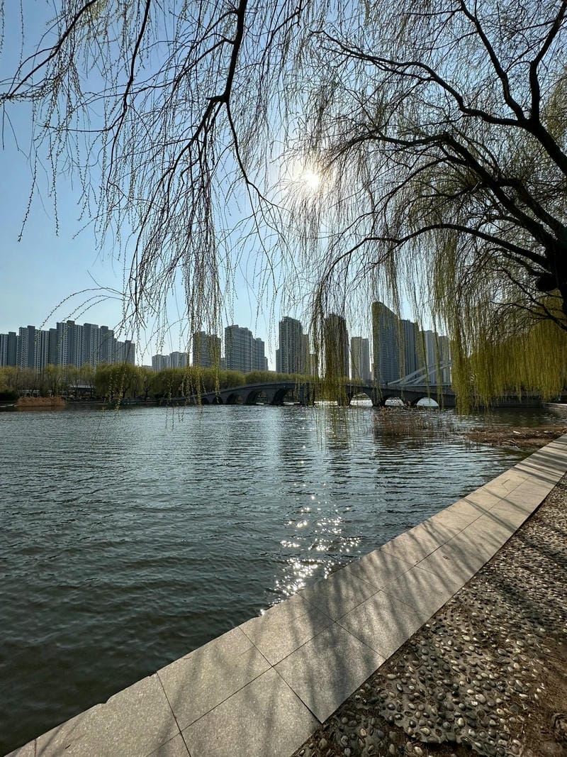 ảnh phong cảnh chill 23