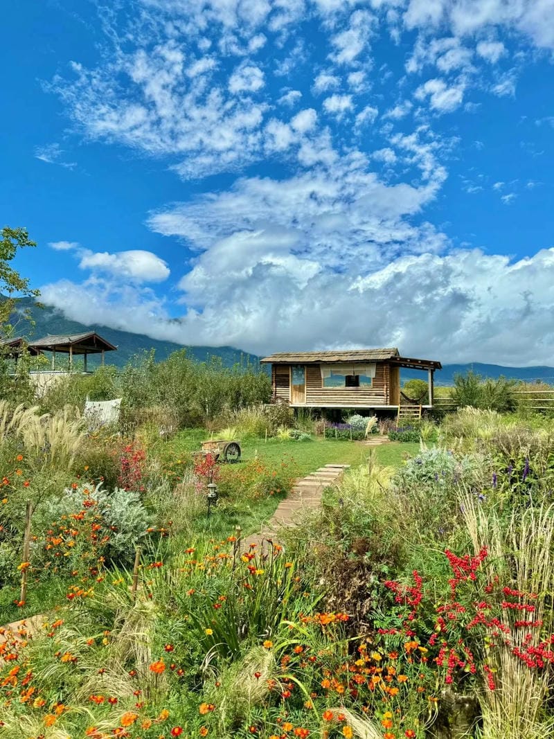 ảnh phong cảnh chill 27